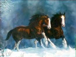 sněžné koně